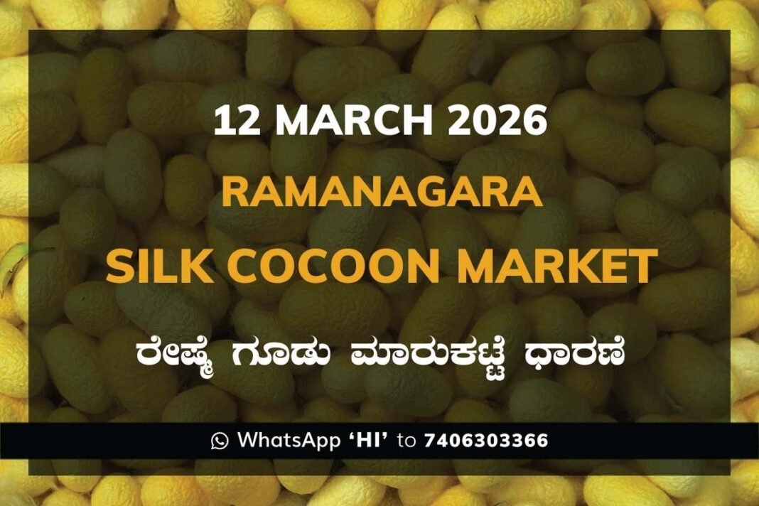 Ramanagara Silk Cocoon Market ರಾಮನಗರ ರೇಷ್ಮೆ ಗೂಡು ಮಾರುಕಟ್ಟೆ ಧಾರಣೆ