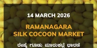 Ramanagara Silk Cocoon Market: 14 March 2026 Ramanagara Silk Cocoon Market ರಾಮನಗರ ರೇಷ್ಮೆ ಗೂಡು ಮಾರುಕಟ್ಟೆ ಧಾರಣೆ