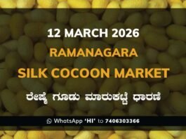 Ramanagara Silk Cocoon Market ರಾಮನಗರ ರೇಷ್ಮೆ ಗೂಡು ಮಾರುಕಟ್ಟೆ ಧಾರಣೆ