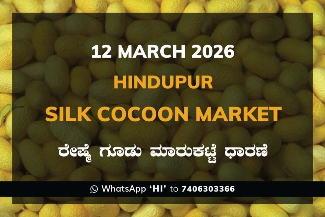 Hindupur Government Silk Cocoon Market Daily Rate Report ಹಿಂದೂಪುರ ರೇಷ್ಮೆ ಗೂಡು ಮಾರುಕಟ್ಟೆ ಧಾರಣೆ