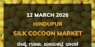 Hindupur Silk Cocoon Market: 12 March 2026 Hindupur Government Silk Cocoon Market Daily Rate Report ಹಿಂದೂಪುರ ರೇಷ್ಮೆ ಗೂಡು ಮಾರುಕಟ್ಟೆ ಧಾರಣೆ