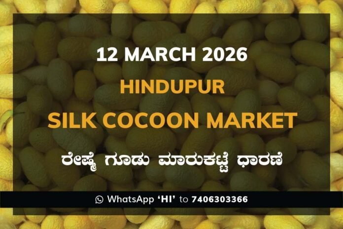 Hindupur Government Silk Cocoon Market Daily Rate Report ಹಿಂದೂಪುರ ರೇಷ್ಮೆ ಗೂಡು ಮಾರುಕಟ್ಟೆ ಧಾರಣೆ