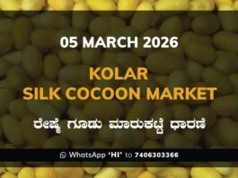 Kolar Silk Cocoon Market Price Rate ಕೋಲಾರ ರೇಷ್ಮೆ ಗೂಡು ಮಾರುಕಟ್ಟೆ ಧಾರಣೆ