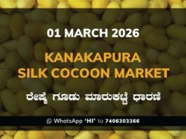 Kanakapura Silk Cocoon Market ಕನಕಪುರ ರೇಷ್ಮೆ ಗೂಡು ಮಾರುಕಟ್ಟೆ ಧಾರಣೆ