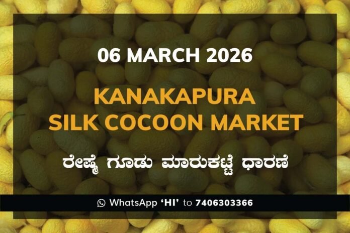 Kanakapura Silk Cocoon Market ಕನಕಪುರ ರೇಷ್ಮೆ ಗೂಡು ಮಾರುಕಟ್ಟೆ ಧಾರಣೆ
