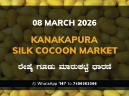 Kanakapura Silk Cocoon Market ಕನಕಪುರ ರೇಷ್ಮೆ ಗೂಡು ಮಾರುಕಟ್ಟೆ ಧಾರಣೆ