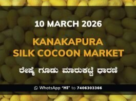 Kanakapura Silk Cocoon Market ಕನಕಪುರ ರೇಷ್ಮೆ ಗೂಡು ಮಾರುಕಟ್ಟೆ ಧಾರಣೆ
