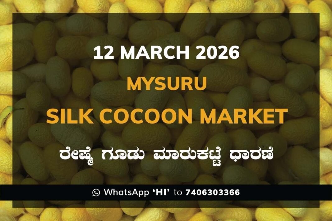 Mysuru Government Silk Cocoon Market Daily Rate Report ಮೈಸೂರು ರೇಷ್ಮೆ ಗೂಡು ಮಾರುಕಟ್ಟೆ ಧಾರಣೆ
