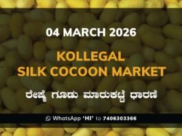 Kollegal Silk Cocoon Market: 04 March 2026 Kollegal Silk Cocoon Market Price Rate ಕೊಳ್ಳೇಗಾಲ ರೇಷ್ಮೆ ಗೂಡು ಮಾರುಕಟ್ಟೆ ಧಾರಣೆ