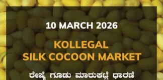 Kollegal Silk Cocoon Market: 10 March 2026 Kollegal Silk Cocoon Market Price Rate ಕೊಳ್ಳೇಗಾಲ ರೇಷ್ಮೆ ಗೂಡು ಮಾರುಕಟ್ಟೆ ಧಾರಣೆ