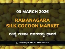 Ramanagara Silk Cocoon Market: 03 March 2026 Ramanagara Silk Cocoon Market ರಾಮನಗರ ರೇಷ್ಮೆ ಗೂಡು ಮಾರುಕಟ್ಟೆ ಧಾರಣೆ