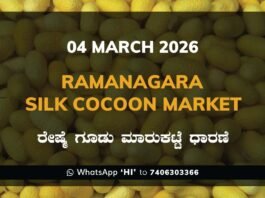 Ramanagara Silk Cocoon Market ರಾಮನಗರ ರೇಷ್ಮೆ ಗೂಡು ಮಾರುಕಟ್ಟೆ ಧಾರಣೆ