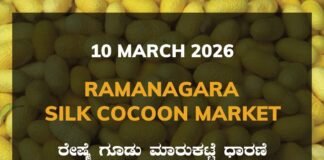 Ramanagara Silk Cocoon Market: 10 March 2026 Ramanagara Silk Cocoon Market ರಾಮನಗರ ರೇಷ್ಮೆ ಗೂಡು ಮಾರುಕಟ್ಟೆ ಧಾರಣೆ