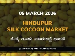 Hindupur Government Silk Cocoon Market Daily Rate Report ಹಿಂದೂಪುರ ರೇಷ್ಮೆ ಗೂಡು ಮಾರುಕಟ್ಟೆ ಧಾರಣೆ