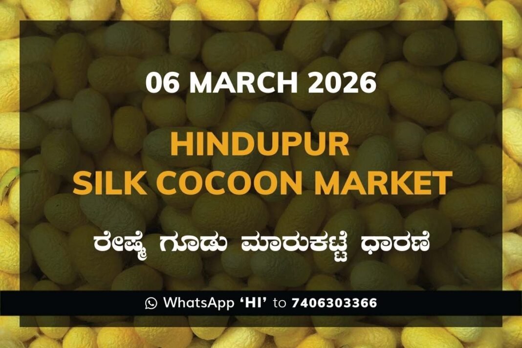 Hindupur Government Silk Cocoon Market Daily Rate Report ಹಿಂದೂಪುರ ರೇಷ್ಮೆ ಗೂಡು ಮಾರುಕಟ್ಟೆ ಧಾರಣೆ