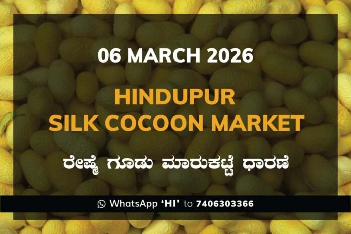 Hindupur Government Silk Cocoon Market Daily Rate Report ಹಿಂದೂಪುರ ರೇಷ್ಮೆ ಗೂಡು ಮಾರುಕಟ್ಟೆ ಧಾರಣೆ
