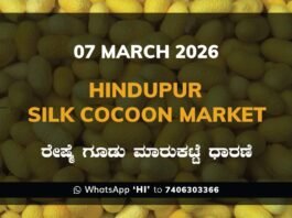 Hindupur Government Silk Cocoon Market Daily Rate Report ಹಿಂದೂಪುರ ರೇಷ್ಮೆ ಗೂಡು ಮಾರುಕಟ್ಟೆ ಧಾರಣೆ