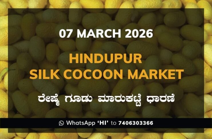 Hindupur Government Silk Cocoon Market Daily Rate Report ಹಿಂದೂಪುರ ರೇಷ್ಮೆ ಗೂಡು ಮಾರುಕಟ್ಟೆ ಧಾರಣೆ