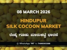 Hindupur Government Silk Cocoon Market Daily Rate Report ಹಿಂದೂಪುರ ರೇಷ್ಮೆ ಗೂಡು ಮಾರುಕಟ್ಟೆ ಧಾರಣೆ