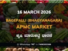 Bagepalli APMC Agriculture Market: 16 March 2026