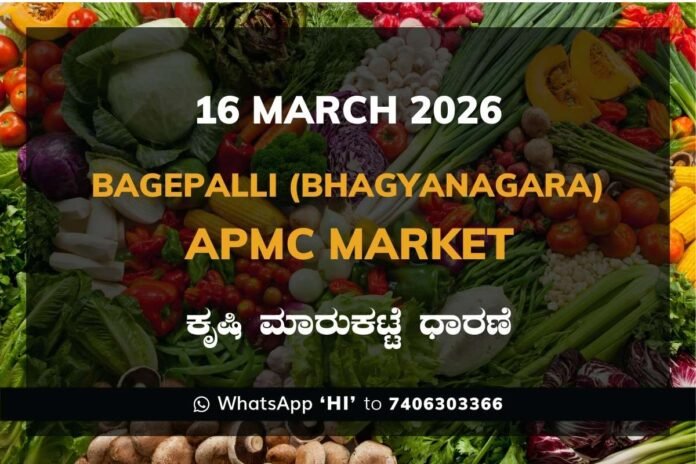 bagepalli-apmc-market-16-march-2026