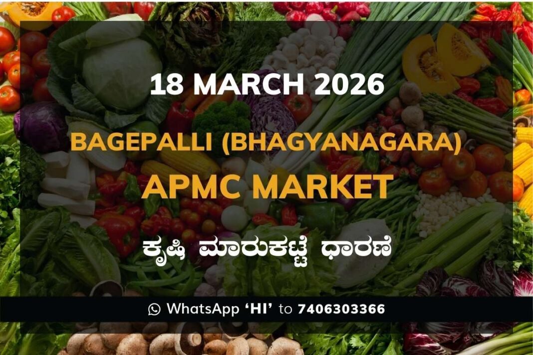 Bagepalli APMC Market Rates – 18 March 2026
