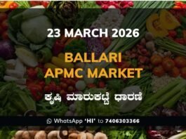 Ballari APMC Market Rates – 23 March 2026