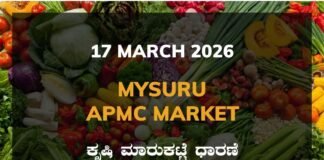 Bangarapet APMC Agriculture Market: 17 March 2026 Bangarapet APMC Market Rates – 17 March 2026