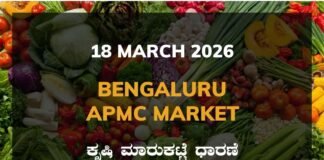 Bengaluru APMC Agriculture Market: 18 March 2026 Bengaluru APMC Market Rates – 18 March 2026