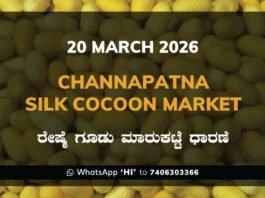 Channapatna Silk Cocoon Market 20 March 2026