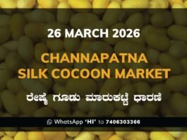 Channapatna Silk Cocoon Market – 26 March 2026 Channapatna Silk Cocoon Market Rates – 26 March 2026
