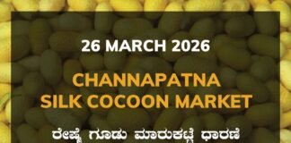 Channapatna Silk Cocoon Market – 26 March 2026 Channapatna Silk Cocoon Market Rates – 26 March 2026