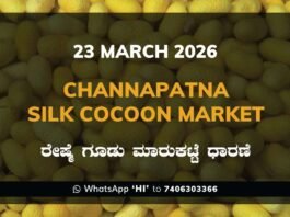 Channapatna Silk Cocoon Market Rates – 23 March 2026