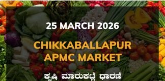 Chikkaballapur APMC Agriculture Market: 25 March 2026 Chikkaballapur APMC Market Rates – 25 March 2026