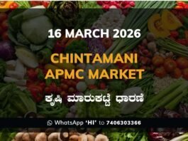 Chintamani APMC Agriculture Market: 16 March 2026