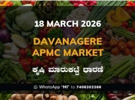 Davanagere APMC Agriculture Market: 18 March 2026 Davanagere APMC Market Rates – 18 March 2026