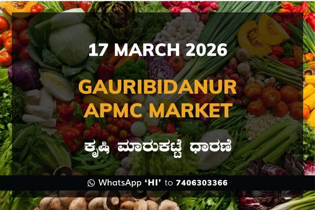 Gauribidanur APMC Market Rates – 17 March 2026