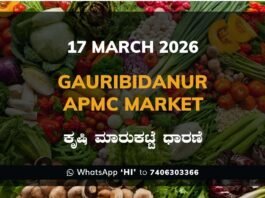 Gauribidanur APMC Market Rates – 17 March 2026