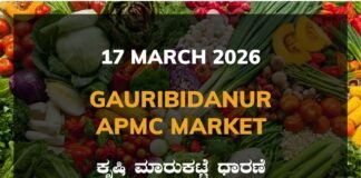 Gauribidanur APMC Agriculture Market: 17 March 2026 Gauribidanur APMC Market Rates – 17 March 2026