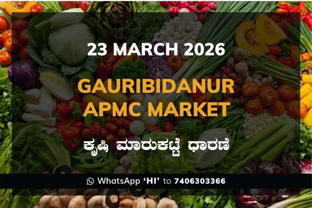 Gauribidanur APMC Market Rates – 23 March 2026