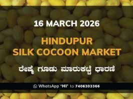 Hindupur Silk Cocoon Market Rates – 16 March 2026