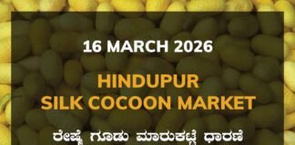 Hindupur Silk Cocoon Market – 16 March 2026 Hindupur Silk Cocoon Market Rates – 16 March 2026