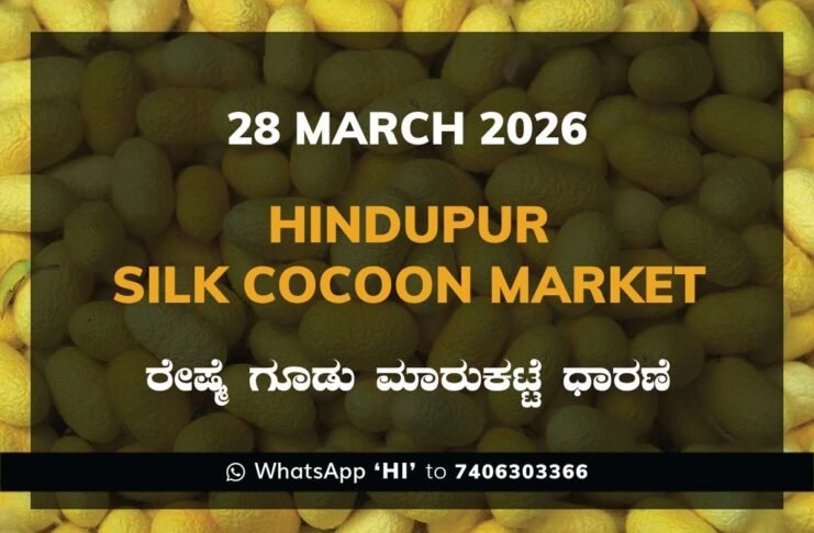 Hindupur Silk Cocoon Market Rates – 28 March 2026