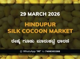 Hindupur Silk Cocoon Market – 29 March 2026 Hindupur Silk Cocoon Market Rates – 29 March 2026