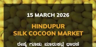 Hindupur Silk Cocoon Market Rates – 15 March 2026