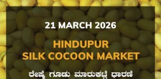 Hindupur Silk Cocoon Market – 21 March 2026 Hindupur Silk Cocoon Market Rates – 21 March 2026