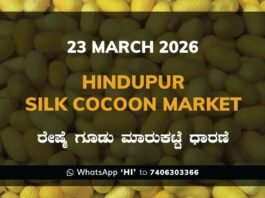 Hindupur Silk Cocoon Market Rates – 23 March 2026