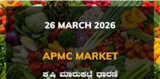 Kanakagiri APMC Agriculture Market: 26 March 2026 Kanakagiri APMC Market Rates – 26 March 2026