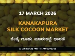 Kanakapura Silk Cocoon Market Rates – 17 March 2026