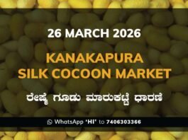 Kanakapura Silk Cocoon Market – 26 March 2026 Kanakapura Silk Cocoon Market Rates – 26 March 2026